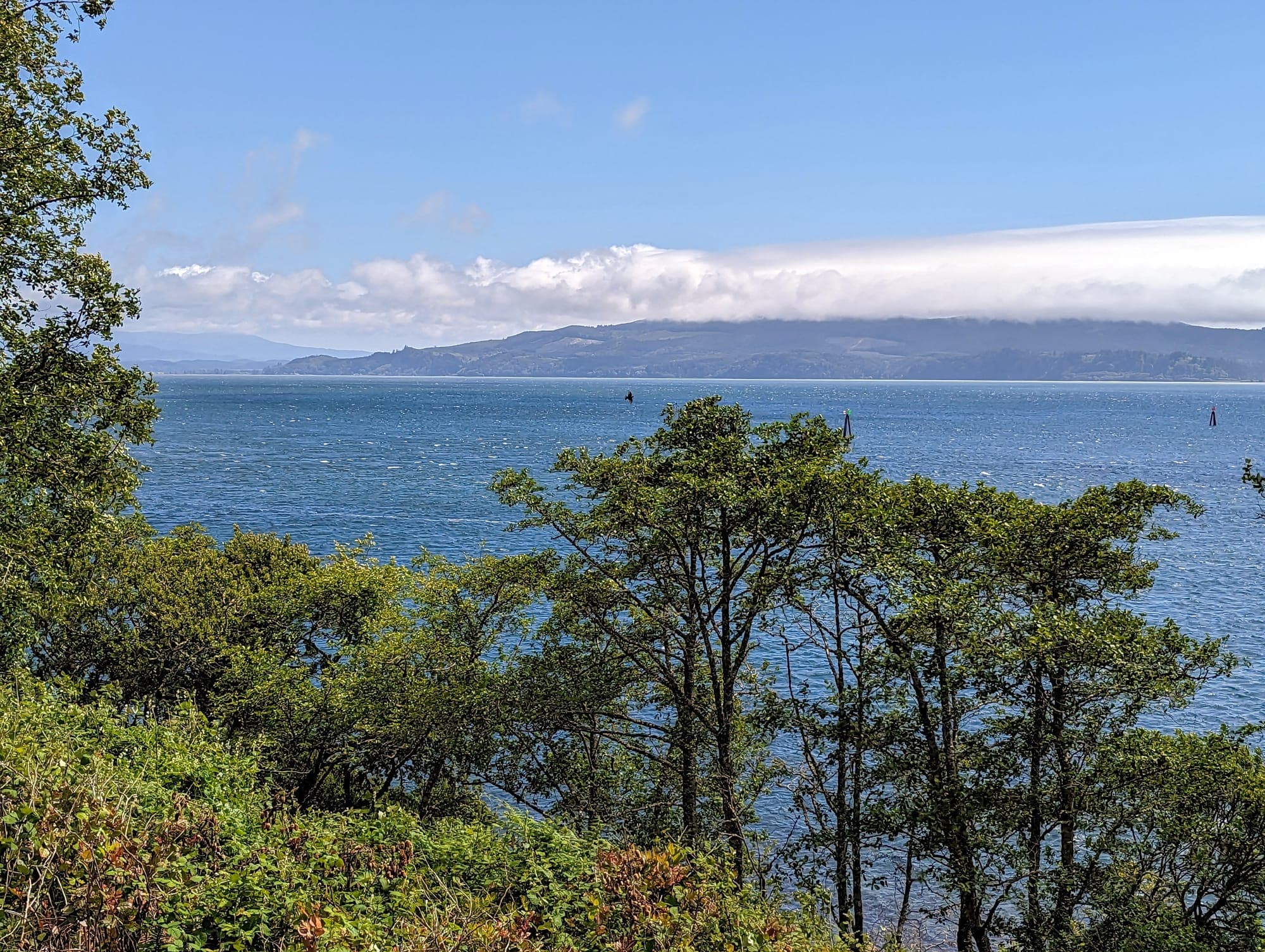 Blue water in PNW (Oregon)
